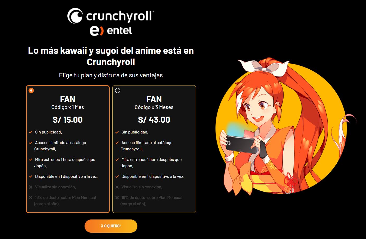 entel plans.JPG