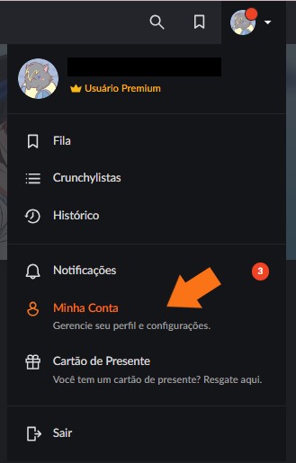 minha conta website.jpg