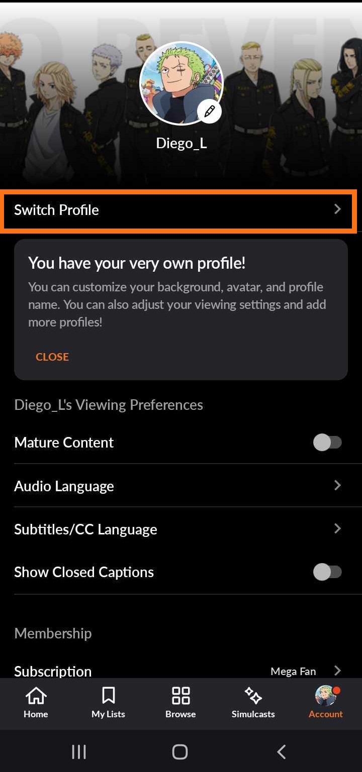 switch profile mobile en 1.jpg