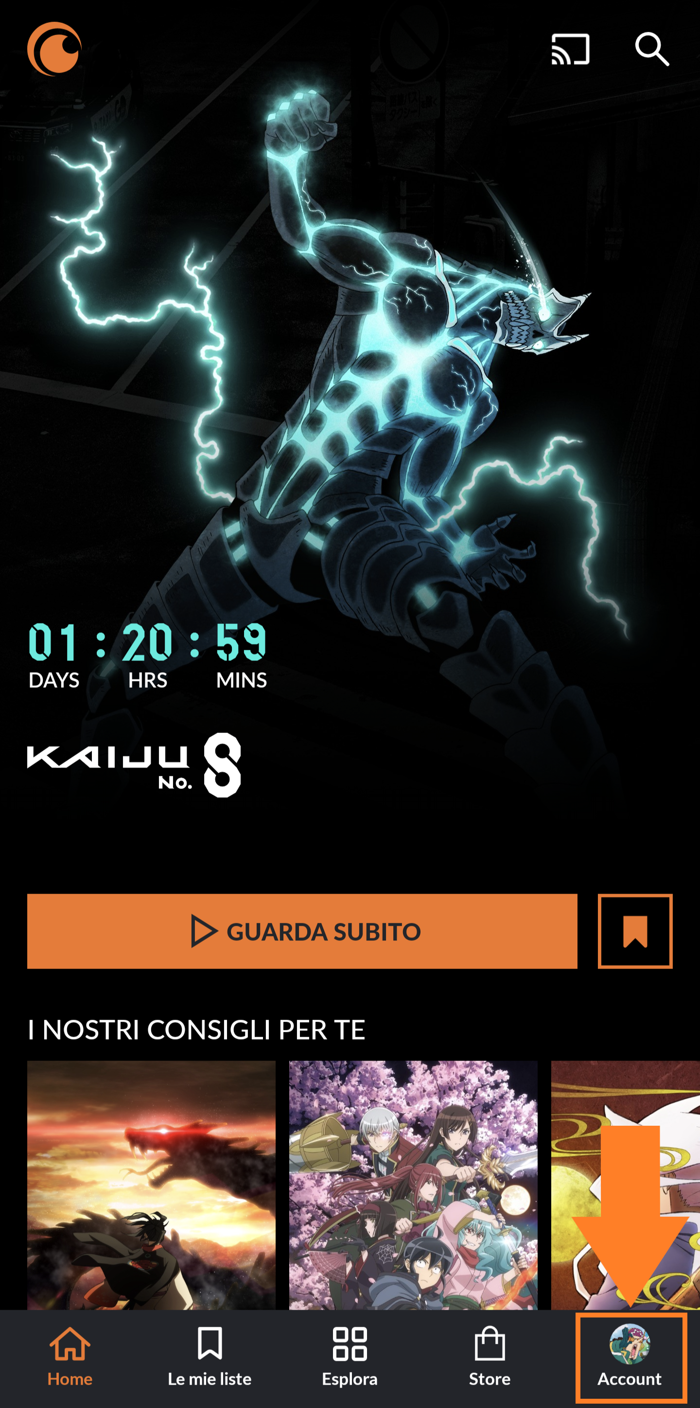 Mature ITA 6.png