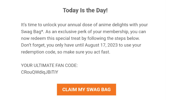 Swag Bag 1.PNG